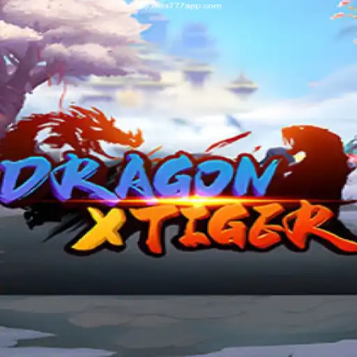 Exploring the Exciting World of DragonXTiger